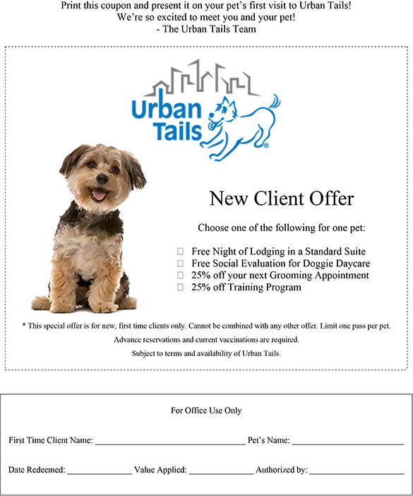 New Client Offer